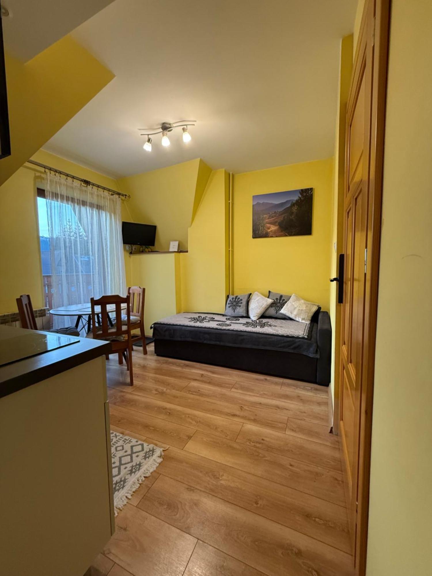 Apartamenty Nad Potokiem Aneta Burliga Zakopane Exterior foto